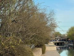 -元大都城垣遗址公园