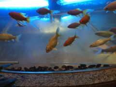 -中影国际影城(兰生大厦CINITY LED店)
