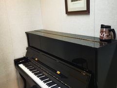 -雅马哈钢琴专卖店盛世雅歌琴行·电钢琴城·钢琴培训(翠微路店)