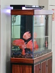 -长沙雅美医疗美容医院