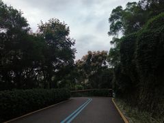-飞凤山奥体公园