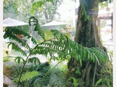 -Chom Cafe and Restaurant