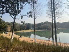 -新洲生态园