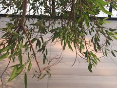 -Apple零售店(济南恒隆广场店)