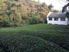 -敬亭山风景名胜区