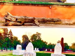 -北京古代建筑博物馆