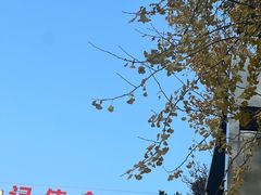 -沔阳会馆(沔街店)