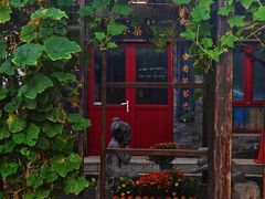 -北京市府学胡同小学