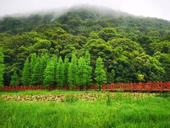 -广州市石门国家森林公园