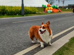 -中国天府农业博览园