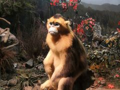 -陕西自然博物馆