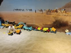 -卡通尼·Safari非洲探索乐园·生日会(金桥国际商业广场店)