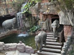-长鹿旅游休博园