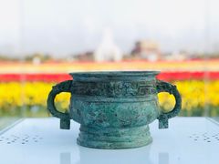 -荷兰花海