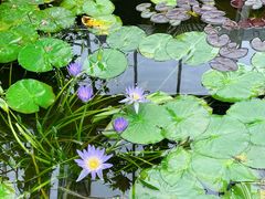 -国家植物园南园