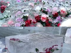 -洛阳白云山景区