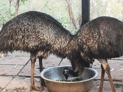-昆明动物园