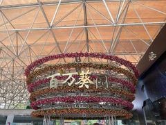-百万葵园