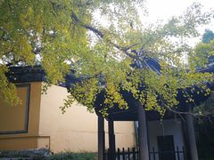 -无锡惠山寺