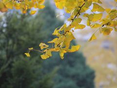 -辽宁大学(崇山校区)