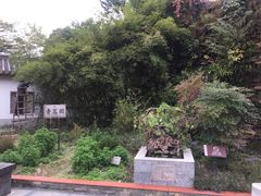 -广州神农草堂中医药博物馆