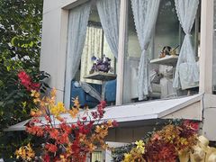 -秀儿家の小确幸花园西餐厅