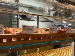 -WHEN PIGS FLY当猪飞