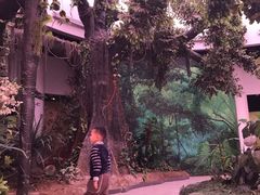 -陕西自然博物馆