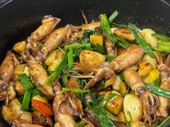 啫啫鱿鱼筒-石岐乳鸽村(南海第三分店)