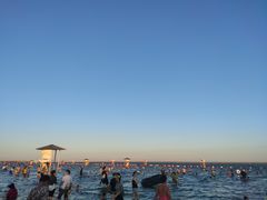 -碧海金沙
