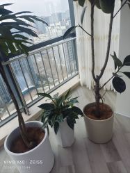 -HEYAN荷妍专业脱毛连锁机构