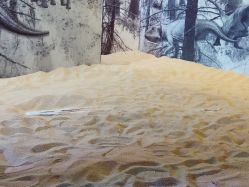 -恐龙探索乐园(磁器口店)