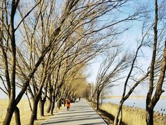 -野鸭湖国家湿地公园