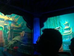 -郑州方特梦幻王国