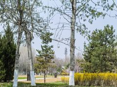 -汉长安城未央宫国家考古遗址公园