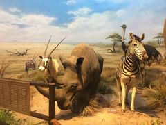 -陕西自然博物馆