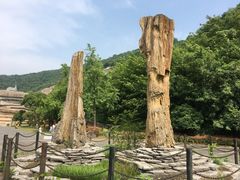 -金钉子远古世界景区