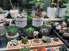 -双季花艺园艺市场(浦东店)