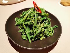 炝炒南瓜苗尖-金鸭季·北京烤鸭(深业上城店)