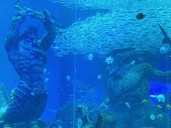 -哈尔滨波塞冬海底世界
