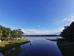 -上海海湾国家森林公园