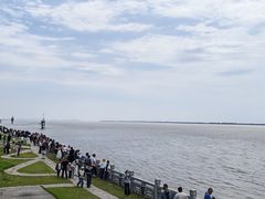 -观潮胜地公园