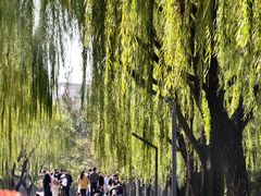 -上海大学(宝山校区)
