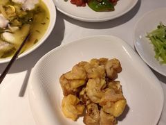 -席家花园(巨鹿花园店)