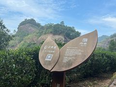 -武夷山风景名胜区-玉女峰