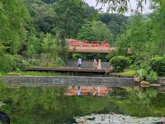 -云溪植物园
