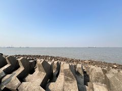-上海滨江森林公园