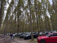 -黄海国家森林公园