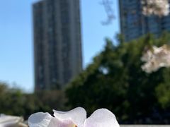 -红星桥(地铁站)