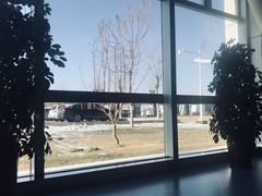 -银川河东国际机场